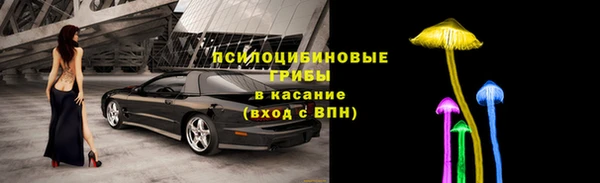 спайс Белокуриха