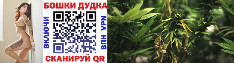 блэк спрут ССЫЛКА  где продают   Бор  Каннабис тримм 